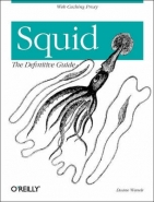 SQUID: THE DEFINITIVE GUIDE: MAKING THE MOST OF YOUR INTERNET CONNECTION