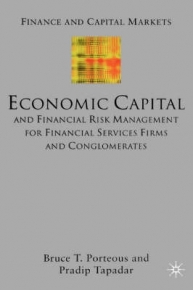 ECONOMIC CAPITAL AND FINANCIAL RISK MANAGEMENT FOR FINANCIAL SERVICES FIRMS AND CONGLOMERATES (H/C)
