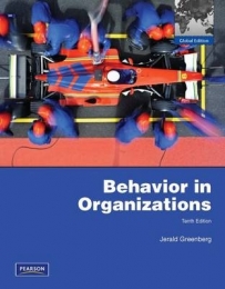BEHAVIOR IN ORGANIZATIONS (IE)